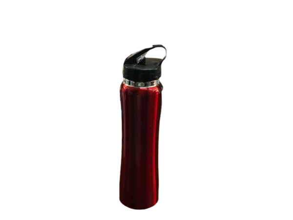 ÇELİK SULUK 600 ML